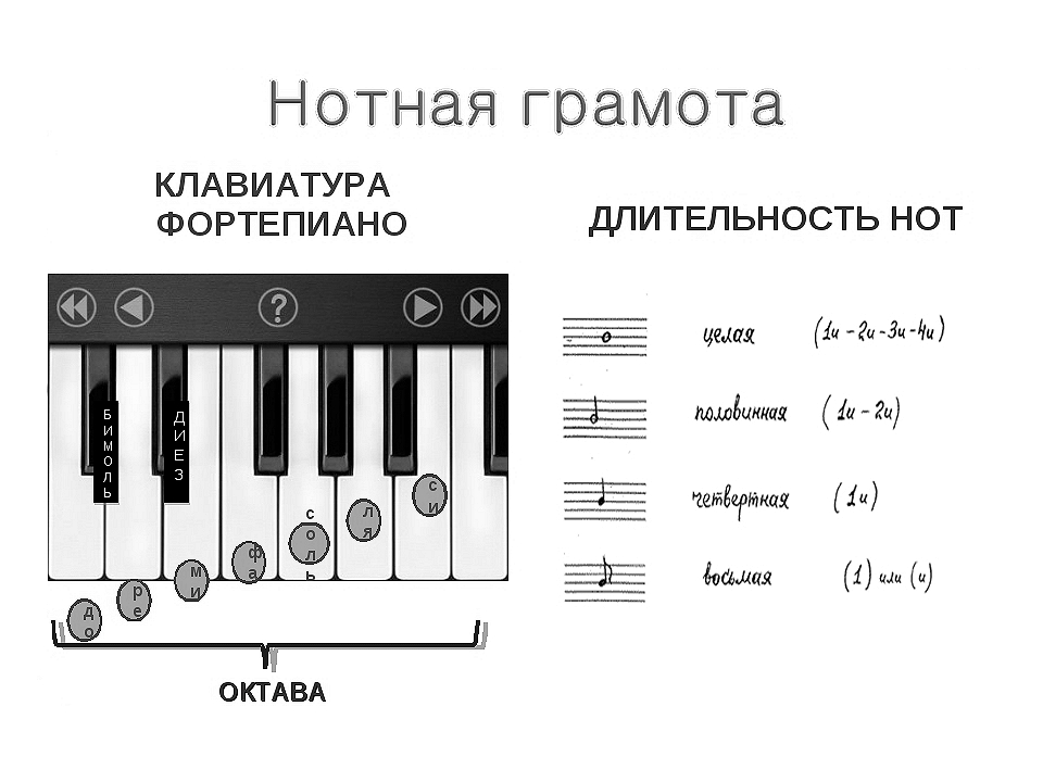 Сколько клавиш у стандартного пианино. Клавиши на фортепиано для начинающих. Клавиши с нотами. Расположение нот на клавиатуре фортепиано. Клавиатура фортепиано для уроков сольфеджио.