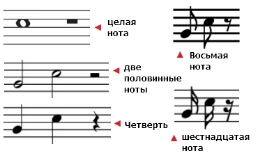 виды и длительности нот